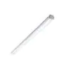 Philips Réglette LED Étanche WT060C 30W 3600lm - 865 Lumière Du Jour | 120cm
