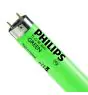 Philips MASTER TL-D 36W - Vert | 120cm