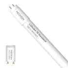Noxion Tube LED T8 Avant (EM/Direct 230V) Standard Output 7.5W 900lm - 865 Lumière Du Jour | 60cm - Équivalent 18W