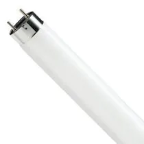 Philips TL-D Buizen