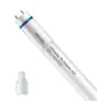 Philips LED Buis T8 MASTER (EM/Mains) High Output 8W 1000lm - 830 Warm Wit | 60cm - Vervangt 18W
